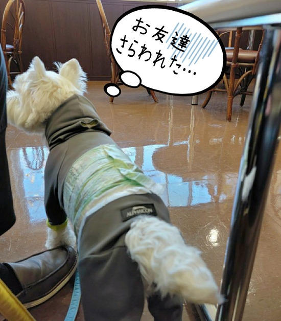 21-12-03-09-46-21-972_deco