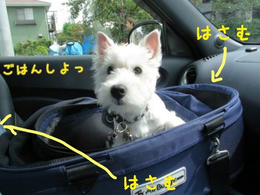 18-06-30-10-50-16-255_deco