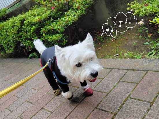 22-05-13-09-58-09-407_deco