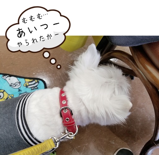 19-01-31-14-03-57-943_deco