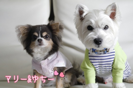 22-06-13-10-28-32-492_deco