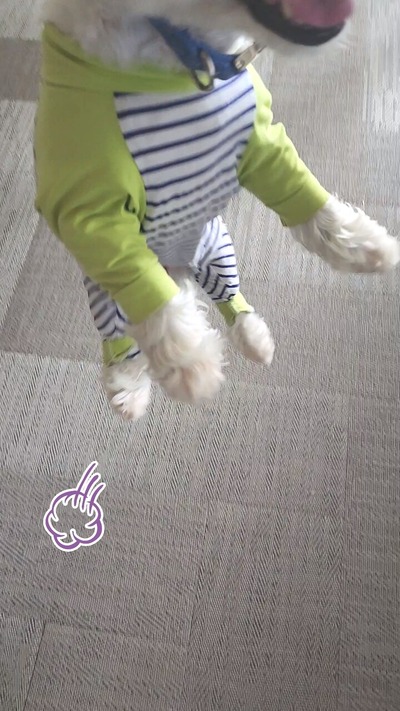 22-06-13-20-08-39-268_deco