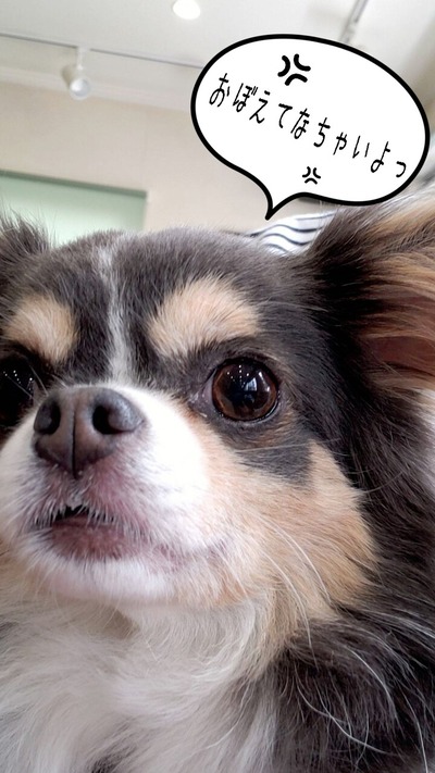 21-05-06-16-24-54-784_deco