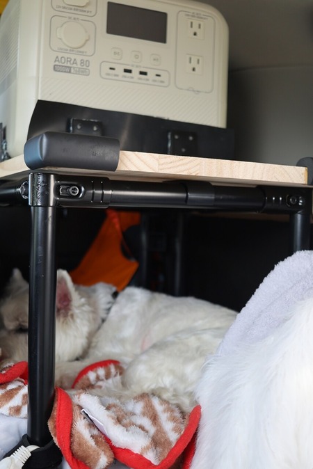 ちゃんとねてる！