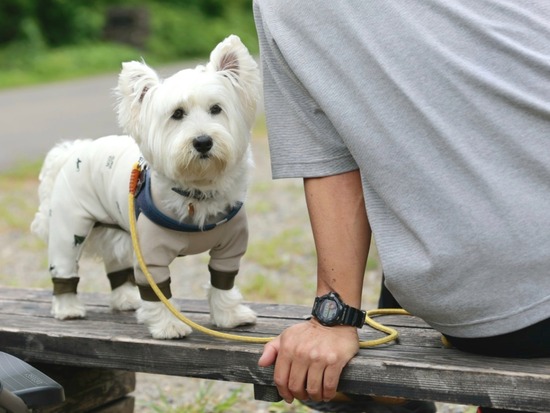 24-05-27-09-06-00-436_deco