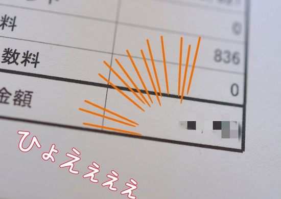 犬の治療費で金銭感覚が麻痺した話｜８万円を経験した飼い主の本音