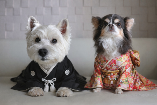 file_00000000d4e4720692b70328b1a4a057