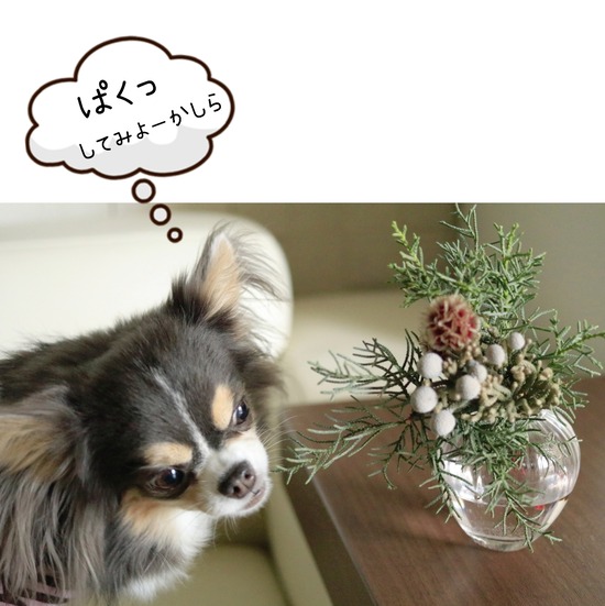 21-12-15-10-09-51-320_deco