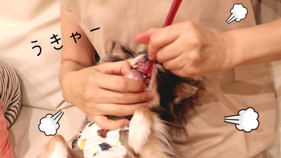 21-09-11-21-15-40-743_deco