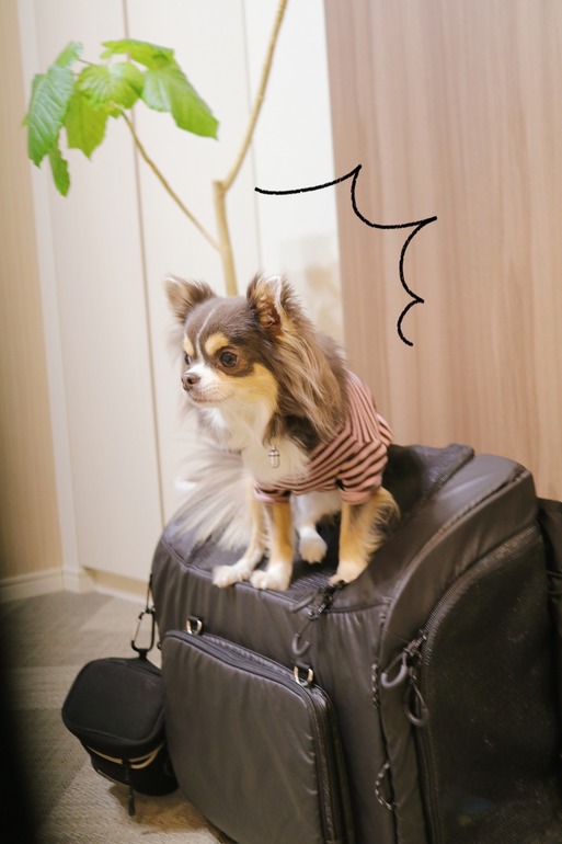 20-01-09-23-17-43-964_deco