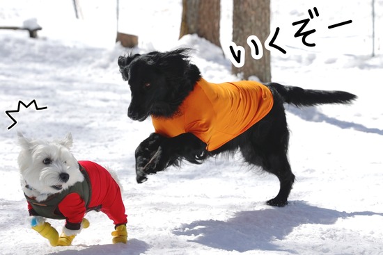 22-03-02-09-34-39-377_deco