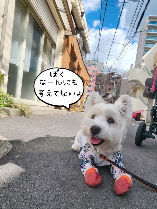 24-09-23-19-17-49-036_deco