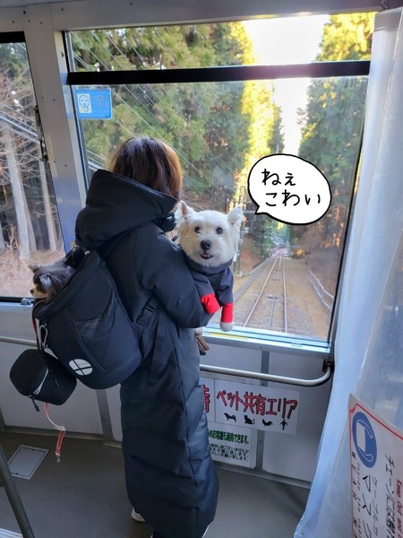 23-02-01-15-12-31-276_deco