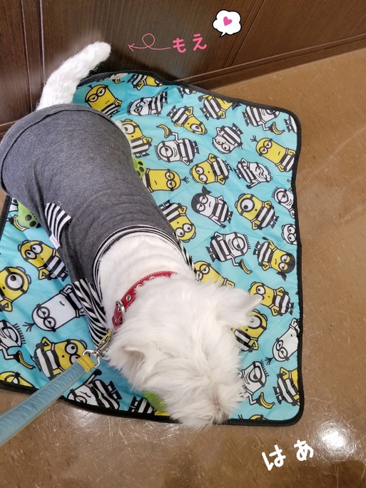 19-01-31-14-08-09-625_deco