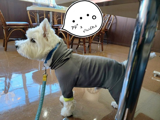 21-12-03-09-47-56-426_deco