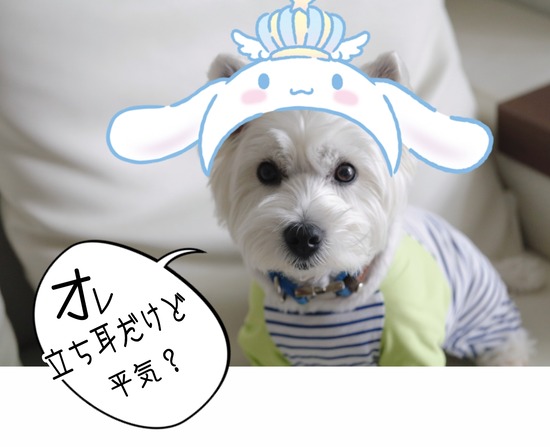 22-06-13-10-41-19-421_deco