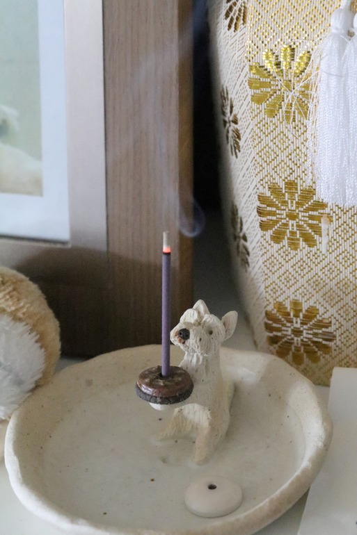 20200204123113_IMG_7119