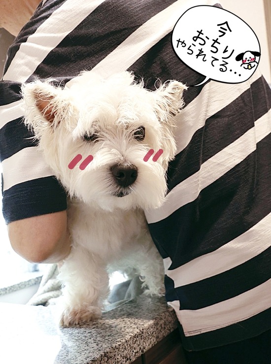 24-07-27-14-39-30-182_deco