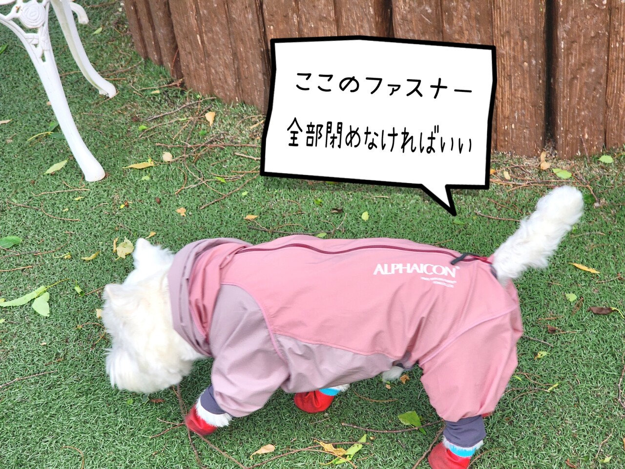 ⭐︎lihn0629ALPHAICON 犬用レインコート ピンク 34_1000x.jpg?v=1758265475