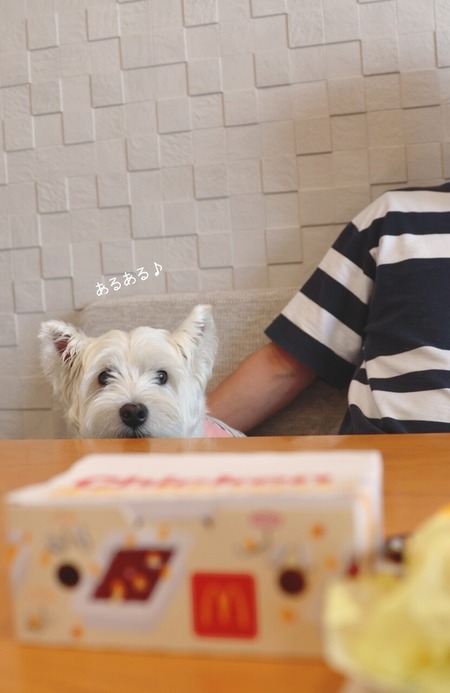 24-07-26-09-34-21-213_deco