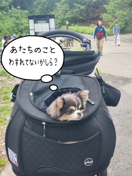 24-05-27-19-07-17-677_deco