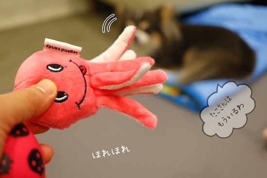 まりちゃんの土産