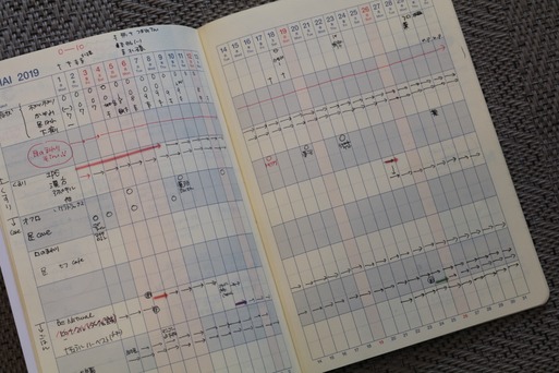 20190707121029_IMG_1243