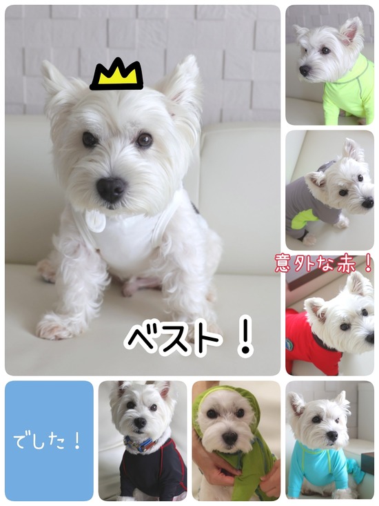 22-06-30-21-38-17-476_deco