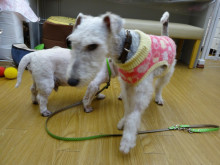 t02200165_0800060012845294843