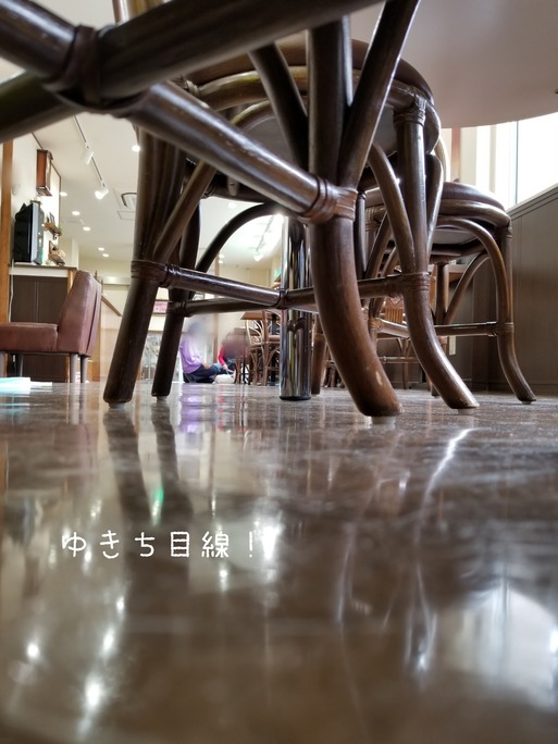 19-01-31-14-02-53-450_deco