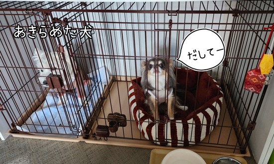 23-05-13-09-05-57-621_deco