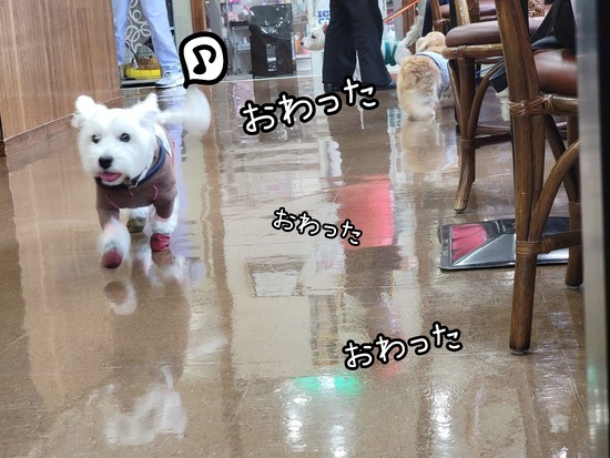 22-06-14-19-30-15-773_deco