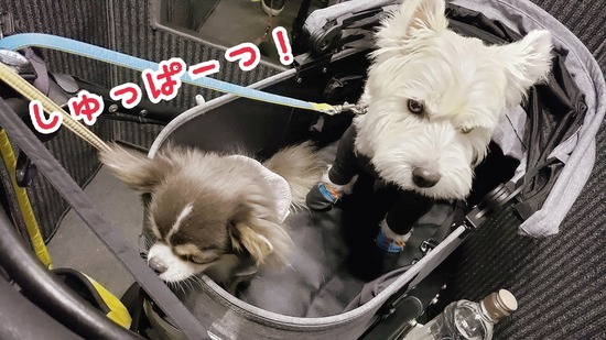 【LINE便り】朝の様子。