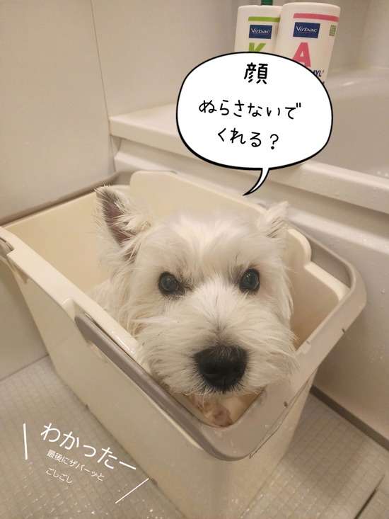 皮膚…。今がこらえ時
