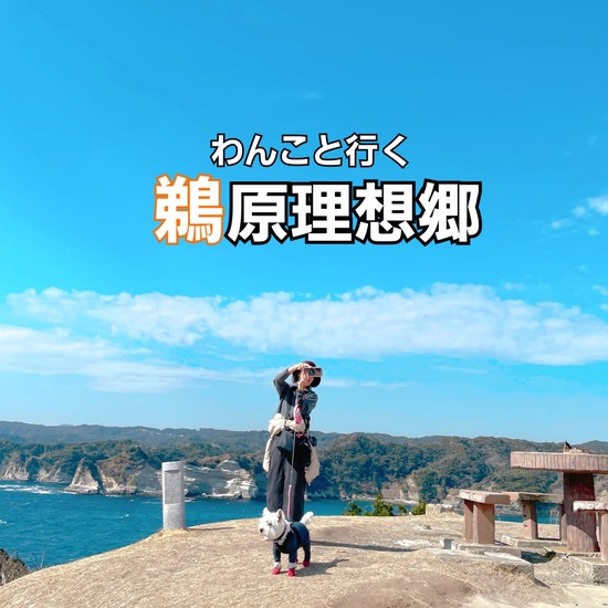 【千葉の旅】鵜原理想郷でお散歩