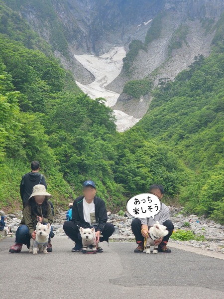 24-05-28-09-49-25-261_deco