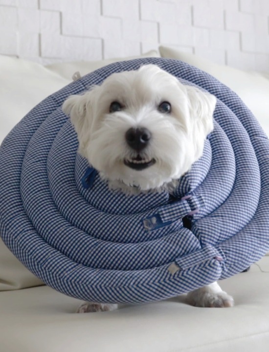 25-01-12-14-08-50-605_deco