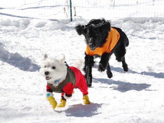 22-03-02-09-38-00-945_deco