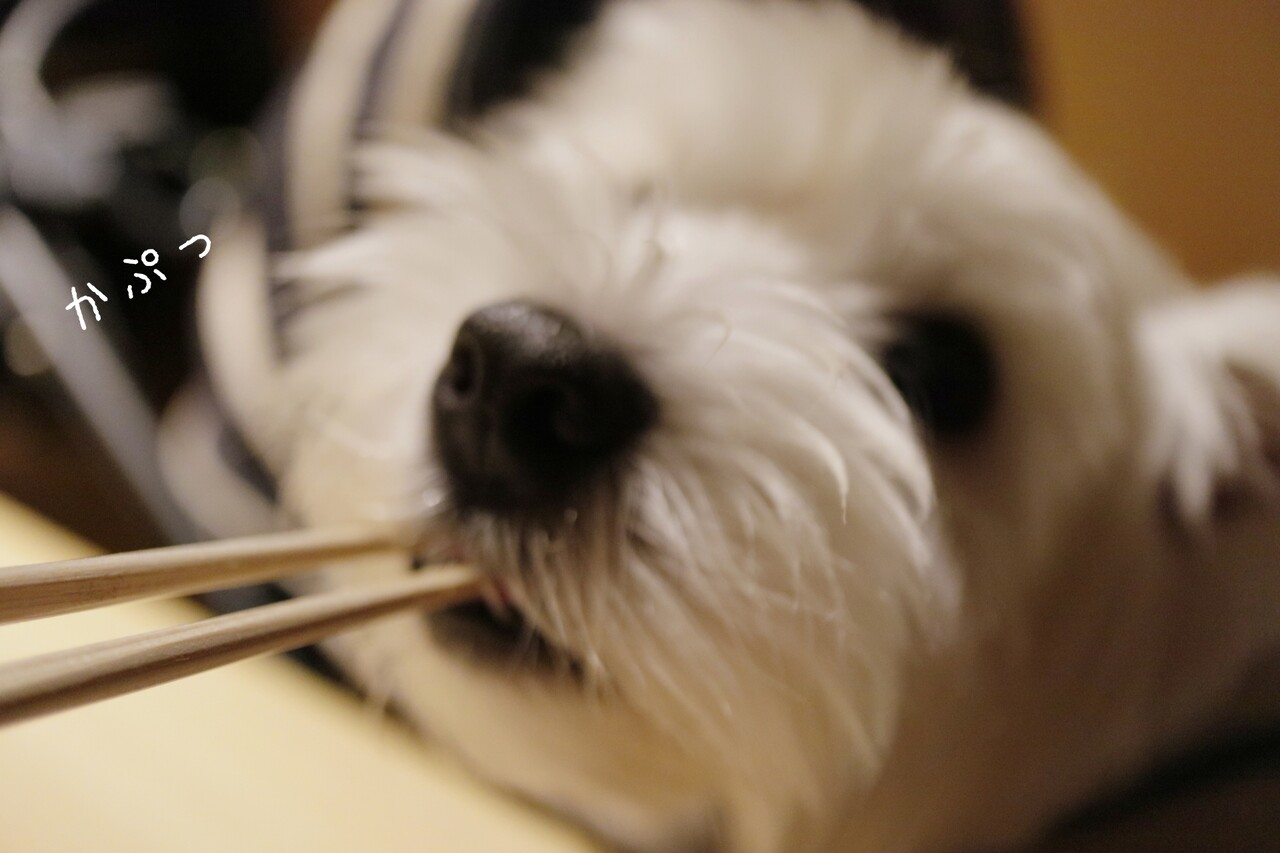 たかシェフゆきち