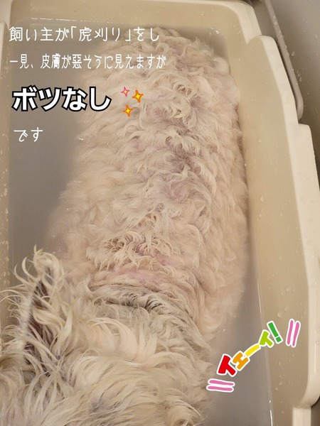 25-07-01-09-29-03-835_deco