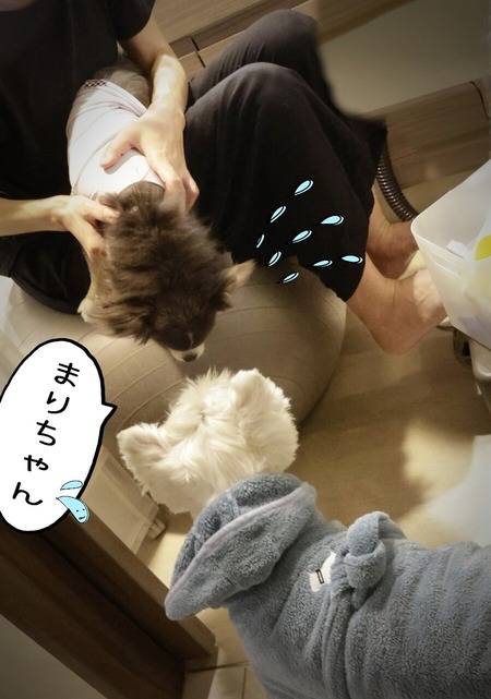 24-08-20-09-57-19-326_deco