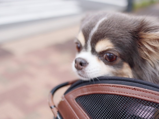 24-07-18-14-05-11-227_deco