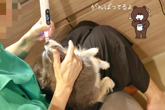 24-07-09-07-22-13-765_deco