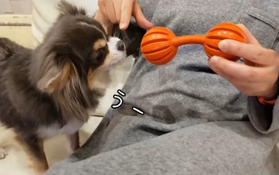 21-03-10-20-20-49-225_deco