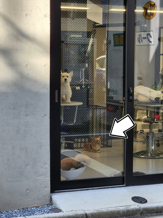 22-07-08-16-50-45-589_deco