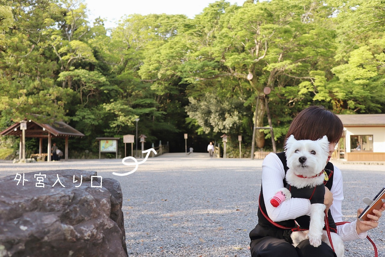 犬とおでかけ 伊勢神宮 ワンコあずかりサービスを利用したよ たかシェフのおうちごはん と 白い犬 と チワワ Powered By ライブドアブログ