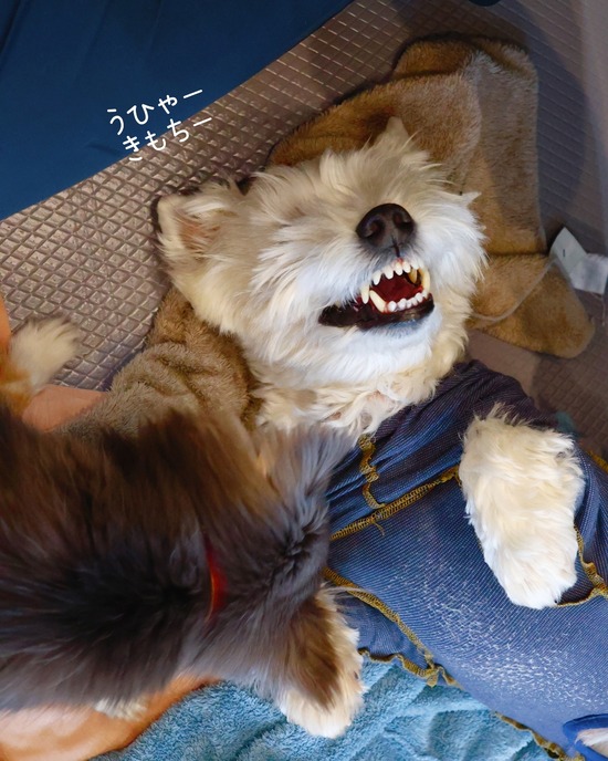 なんだ、そのお口は(笑)