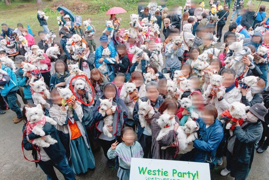 25-11-04-21-16-59-042_deco