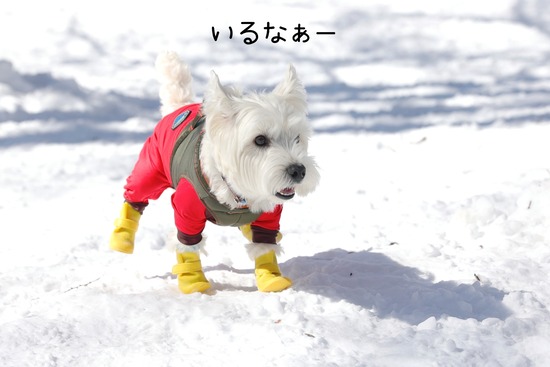 22-03-01-12-50-52-440_deco