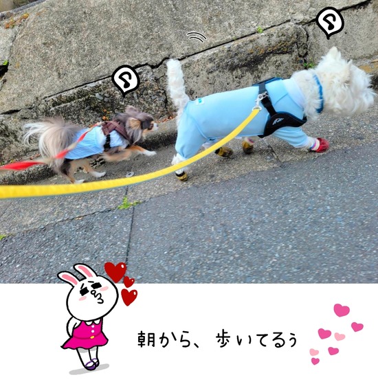 22-05-11-09-06-25-639_deco